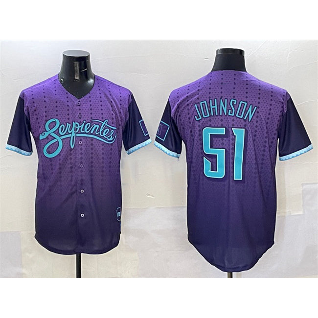 Boles  Arizona Diamondbacks #51 Randy Johnson Purple  2025 City Connect Limited Stitched Jersey