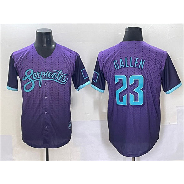Boles  Arizona Diamondbacks #23 Zac Gallen Purple  2025 City Connect Limited Stitched Jersey