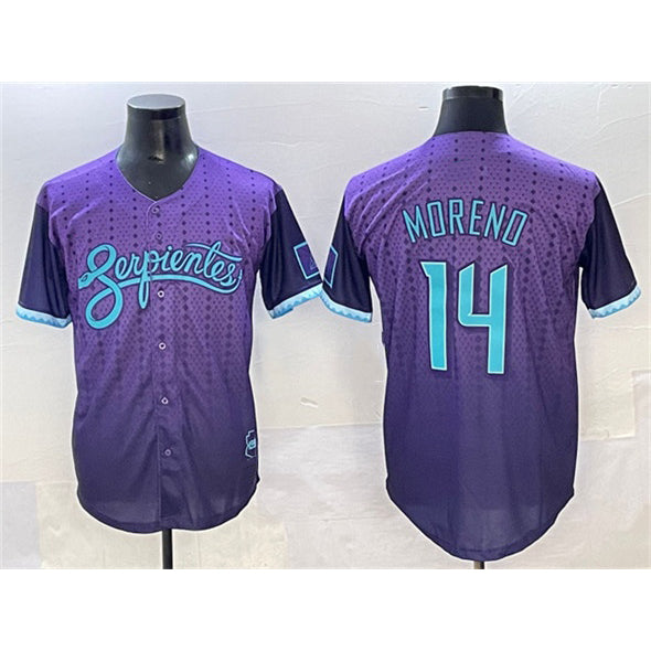 Boles  Arizona Diamondbacks #14 Gabriel Moreno Purple  2025 City Connect Limited Stitched Jersey