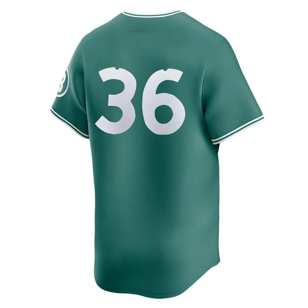 Boles B.Red Sox #36 Triston Casas Player Green City Connect Limited Home Game Stitched Jerseys