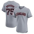 Boles C.Guardians #75 Connor Brogdon Player Gray Road Limited Elite Home Stitched Jerseys