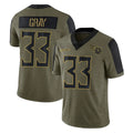 Boles T.Titans #33 Cedric Gray Player Olive Salute to Service Limited Home Game Stitched Jerseys